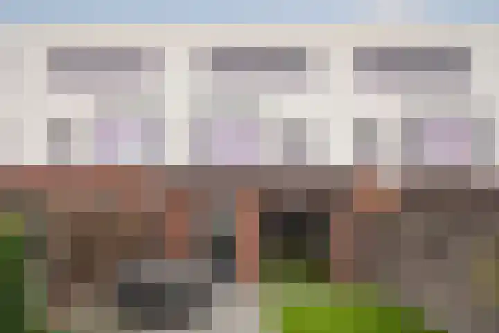 Muurhagedis 29 Goirle thumbnail 41