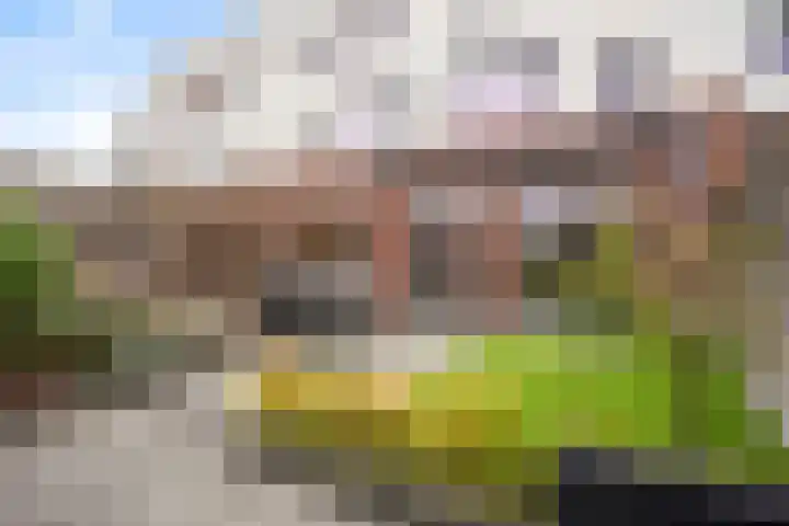 Muurhagedis 29 Goirle thumbnail 42