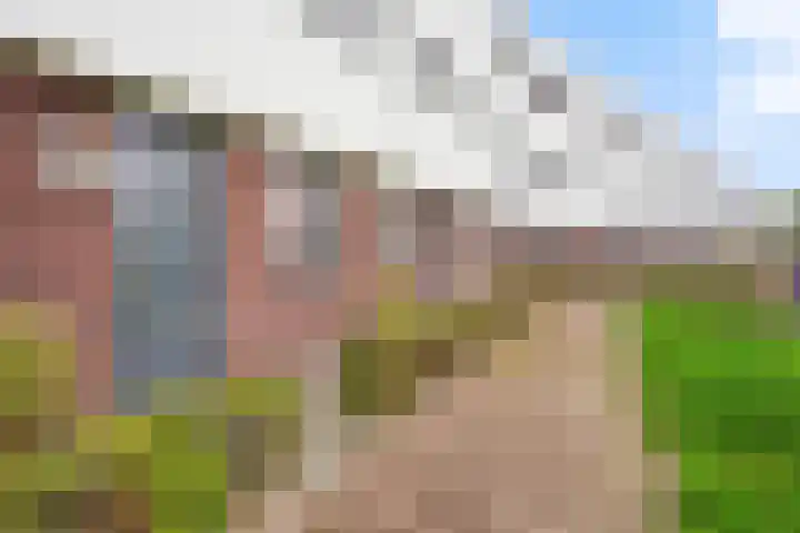 Muurhagedis 29 Goirle thumbnail 44
