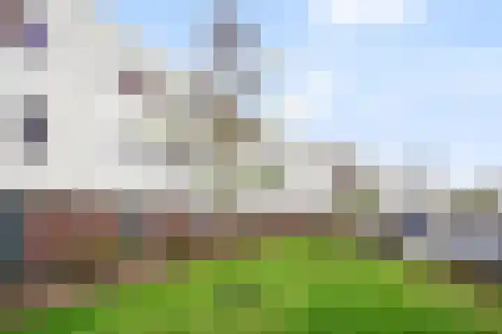 Muurhagedis 29 Goirle thumbnail 45