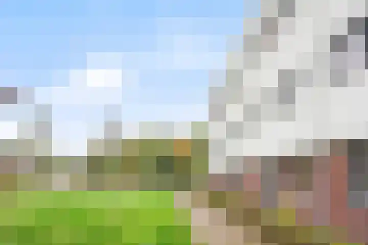 Muurhagedis 29 Goirle thumbnail 46
