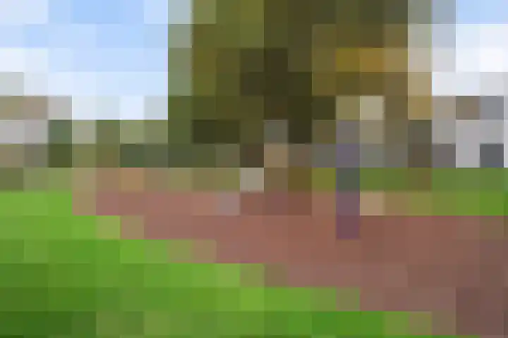 Muurhagedis 29 Goirle thumbnail 47
