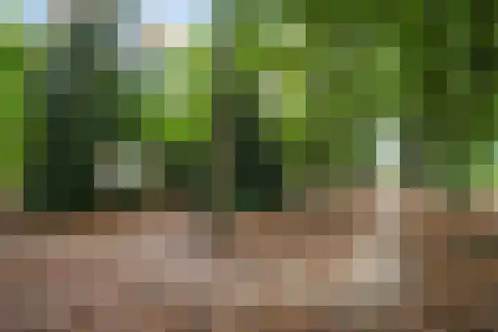 Muurhagedis 29 Goirle thumbnail 50
