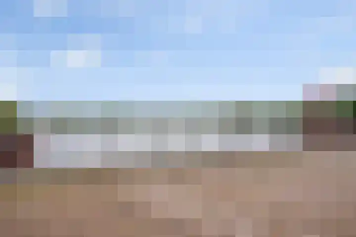 Muurhagedis 29 Goirle thumbnail 51