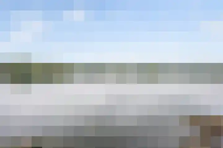 Muurhagedis 29 Goirle thumbnail 52