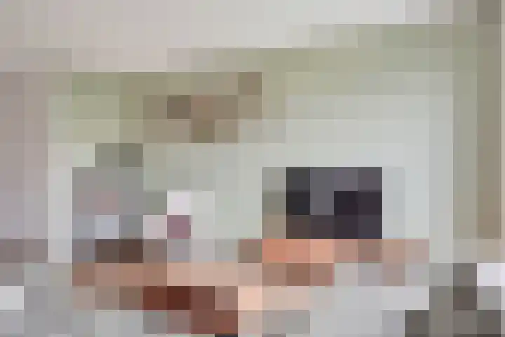 Muurhagedis 29 Goirle thumbnail 7