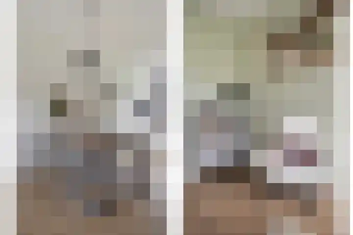 Muurhagedis 29 Goirle thumbnail 9