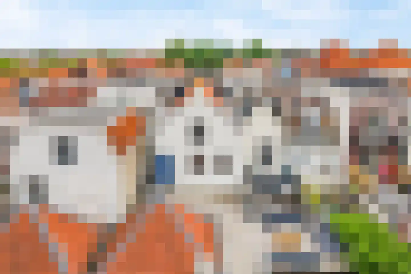 Muurhuizen 100 D Amersfoort thumbnail 21