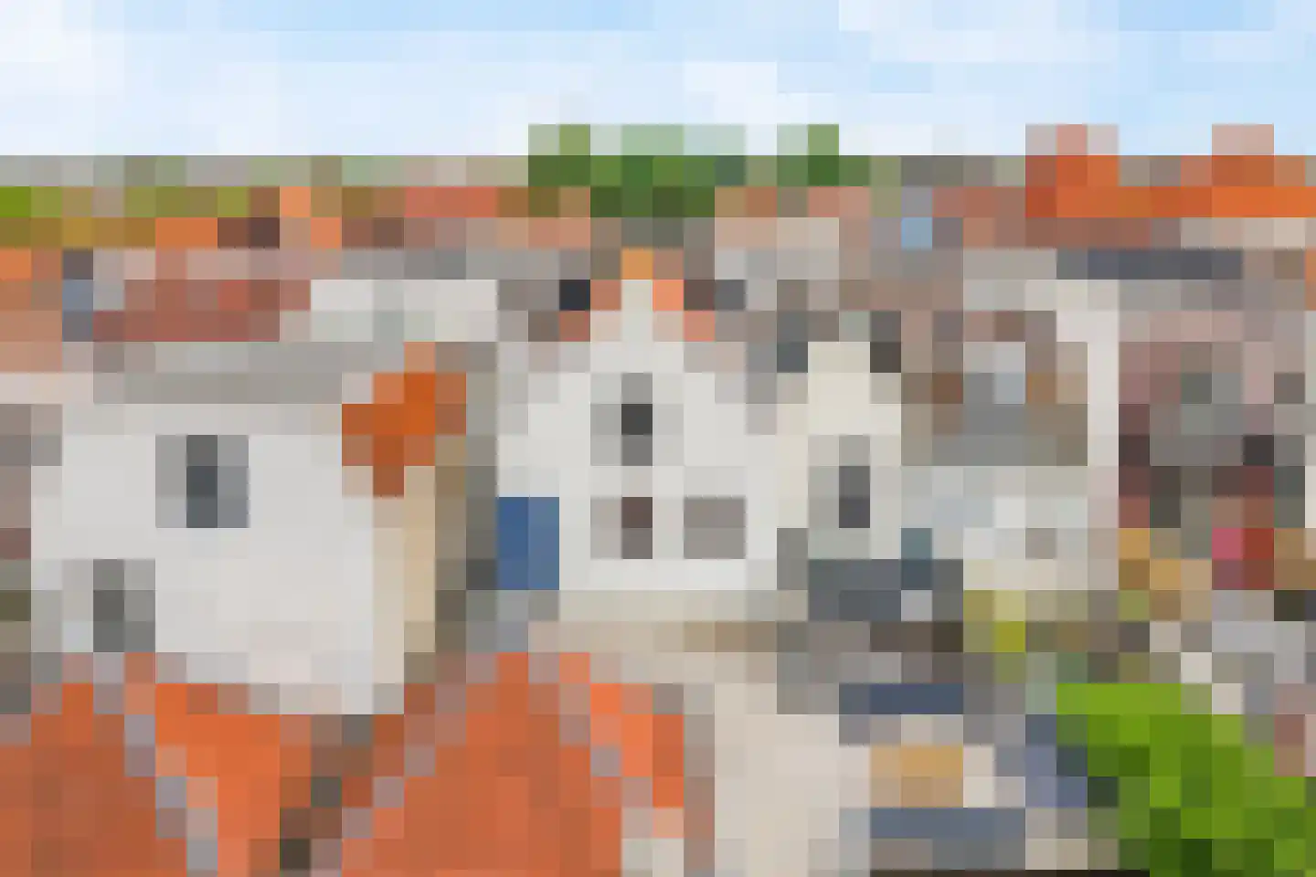 Muurhuizen 100 D Amersfoort thumbnail 22