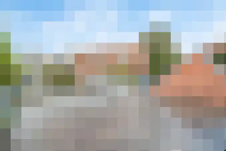 Muurhuizen 100 E Amersfoort thumbnail 22