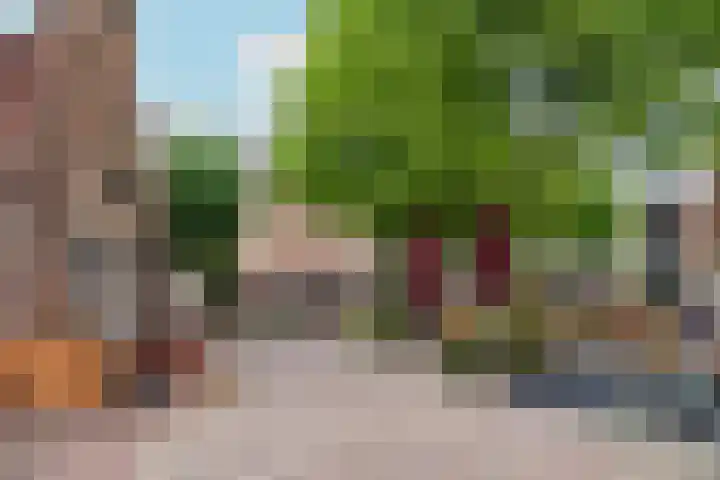 Muurhuizen 100 E Amersfoort thumbnail 35