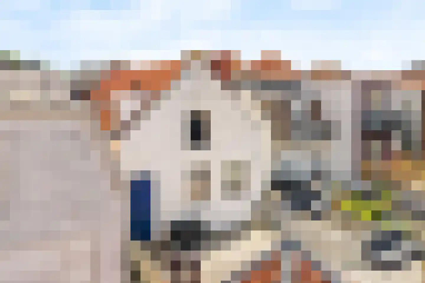 Muurhuizen 100 F Amersfoort thumbnail 23