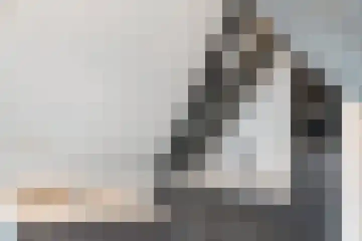Muurhuizen 100 G Amersfoort thumbnail 14