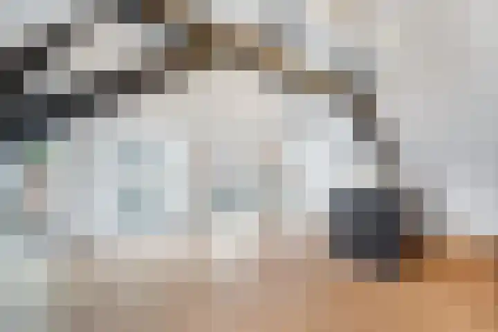 Muurhuizen 100 G Amersfoort thumbnail 4