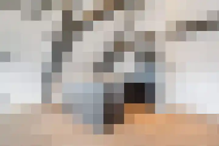 Muurhuizen 100 G Amersfoort thumbnail 8
