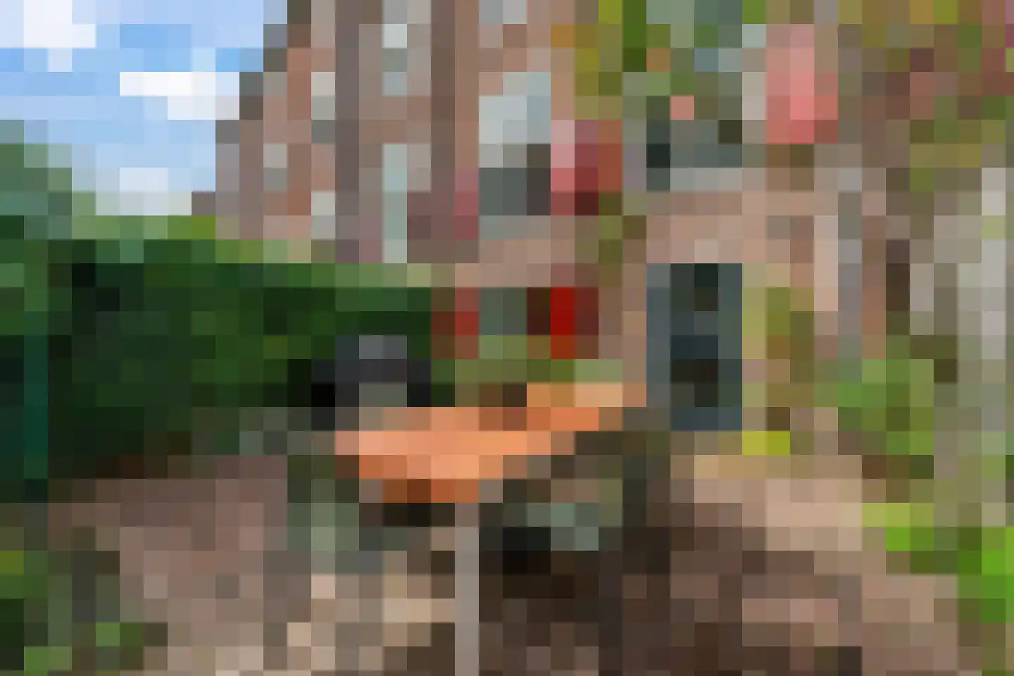 Muurhuizen 105 Amersfoort thumbnail 18