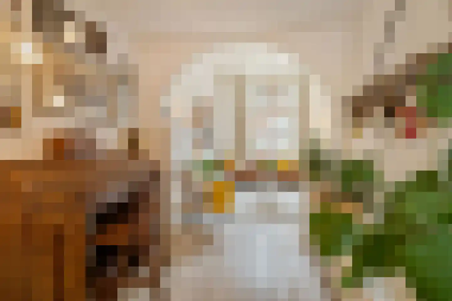 Muurhuizen 111 Amersfoort thumbnail 11
