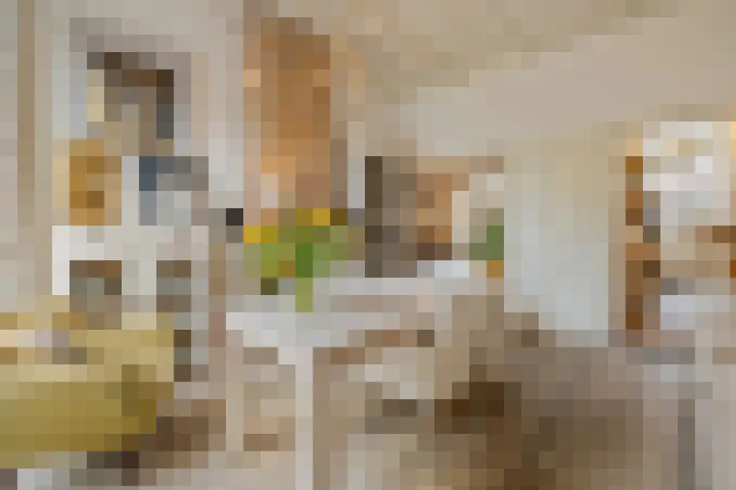 Muurhuizen 111 Amersfoort thumbnail 15