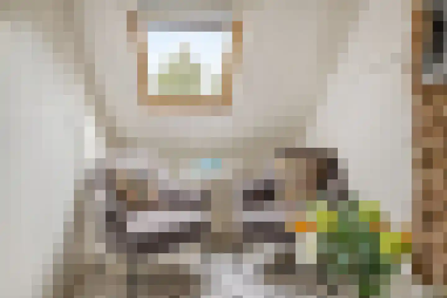Muurhuizen 111 Amersfoort thumbnail 23