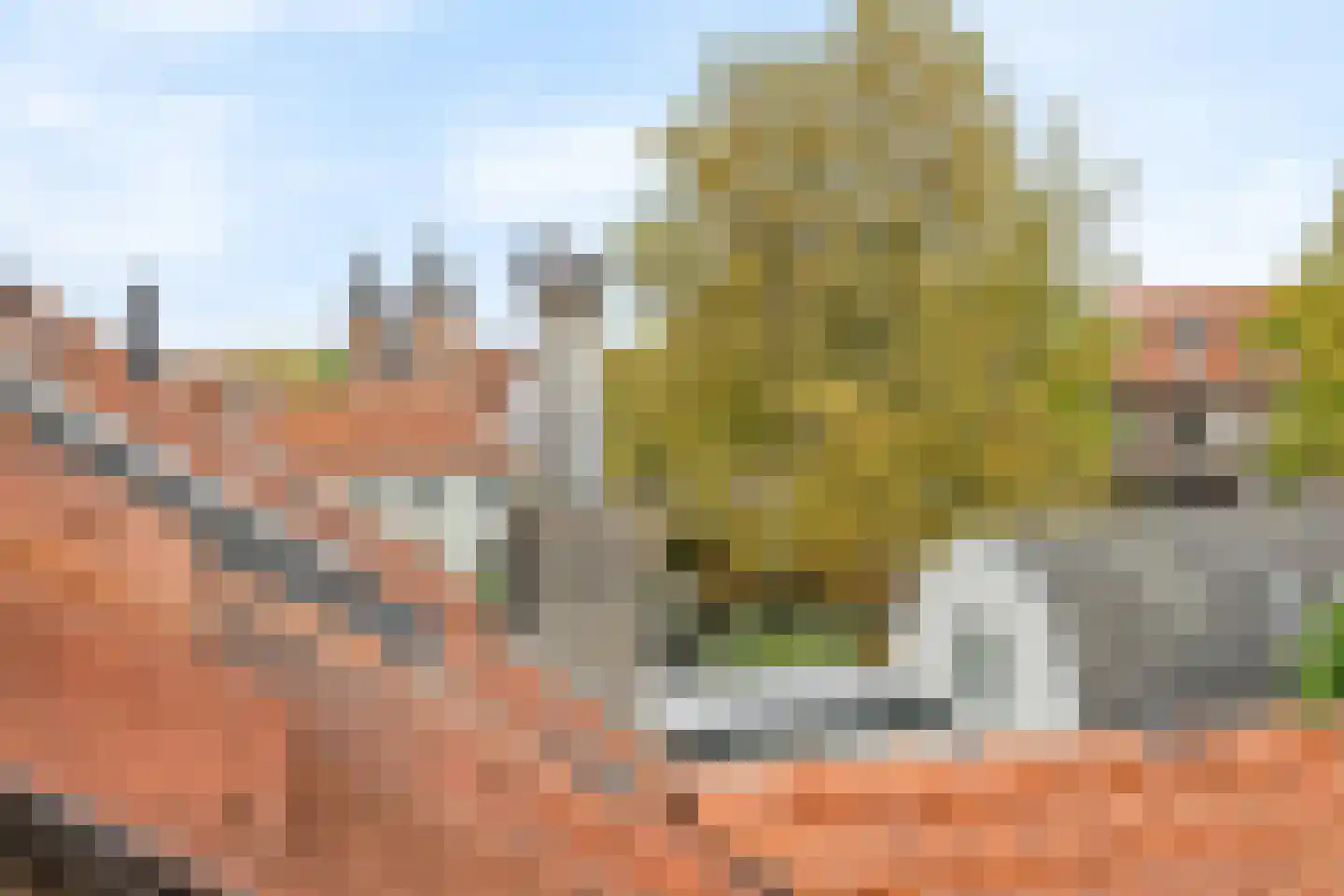 Muurhuizen 111 Amersfoort thumbnail 33