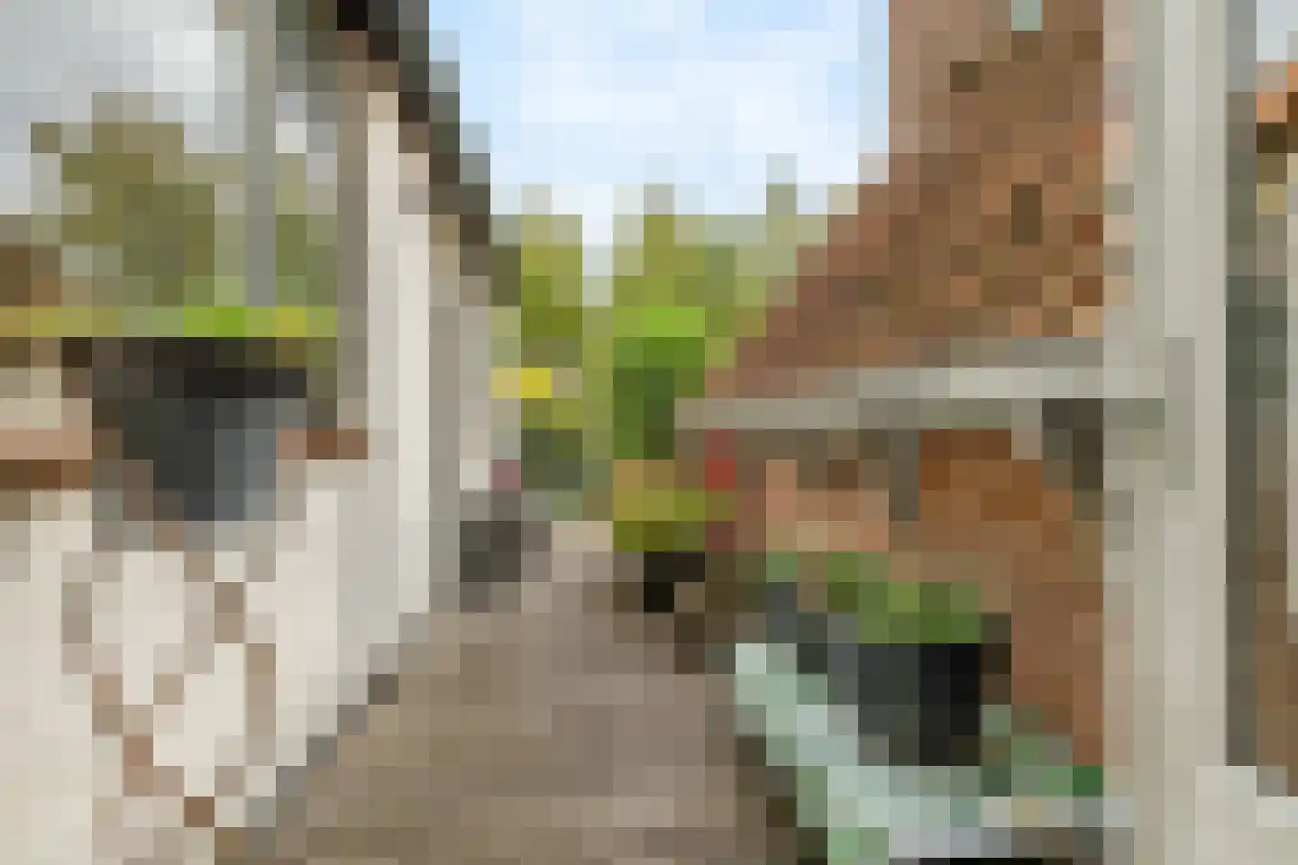 Muurhuizen 111 Amersfoort thumbnail 34