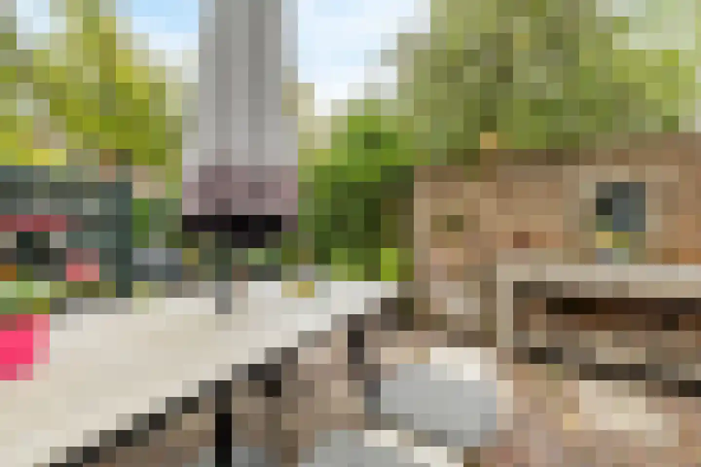 Muurhuizen 111 Amersfoort thumbnail 39