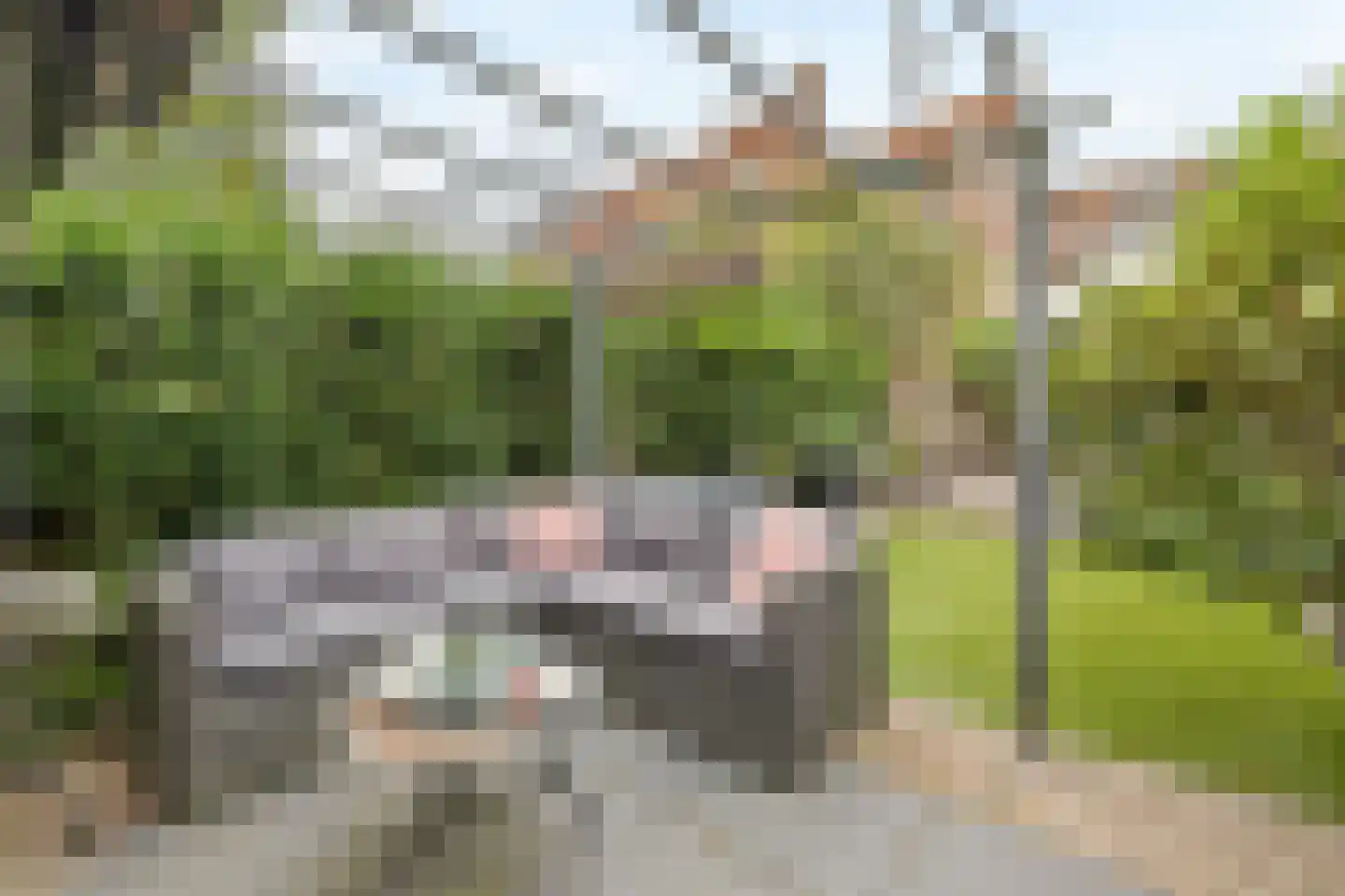 Muurhuizen 111 Amersfoort thumbnail 40
