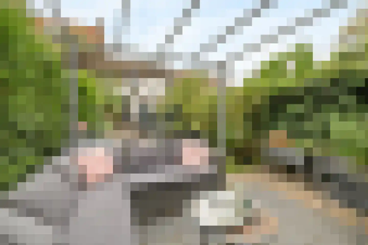 Muurhuizen 111 Amersfoort thumbnail 41