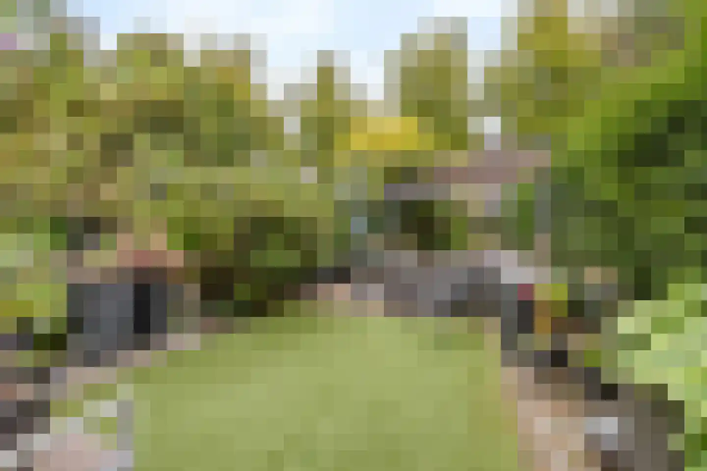Muurhuizen 111 Amersfoort thumbnail 42