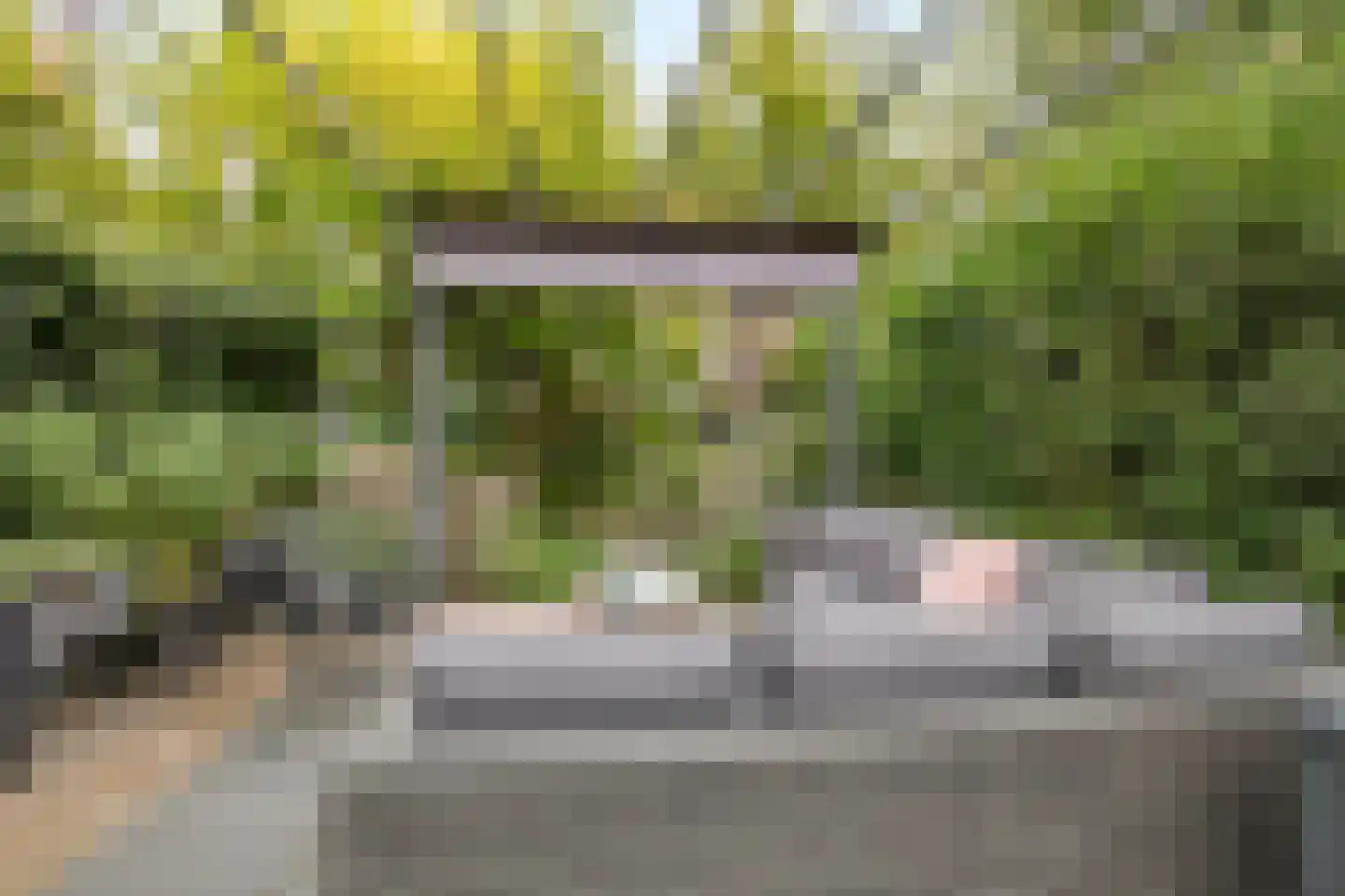 Muurhuizen 111 Amersfoort thumbnail 44