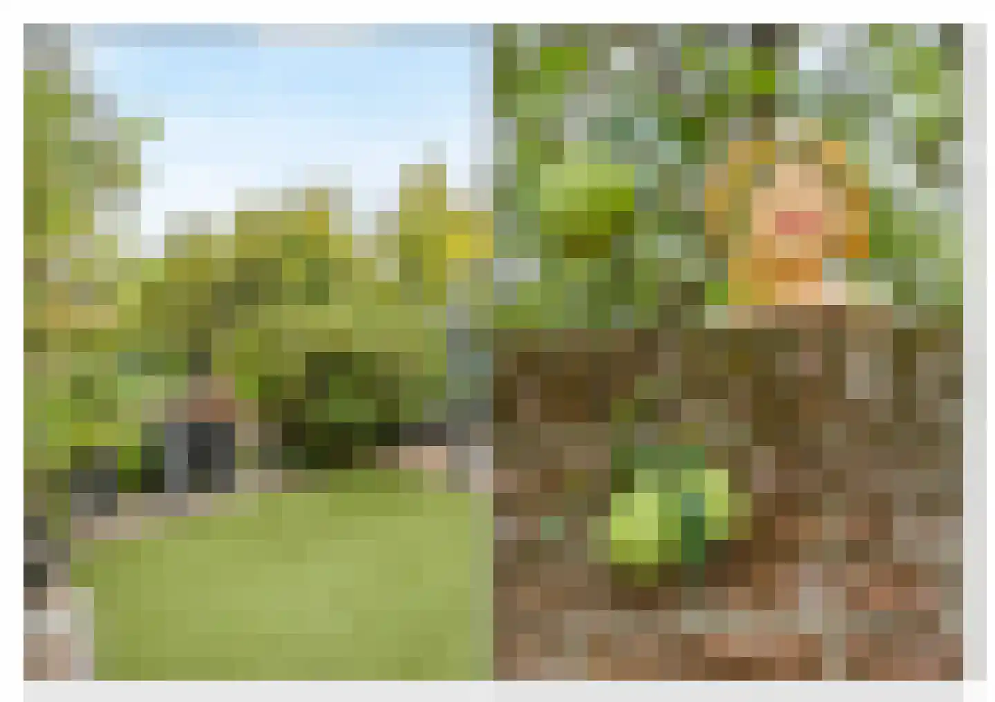 Muurhuizen 111 Amersfoort thumbnail 45