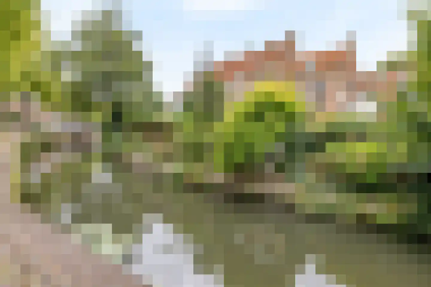 Muurhuizen 111 Amersfoort thumbnail 51