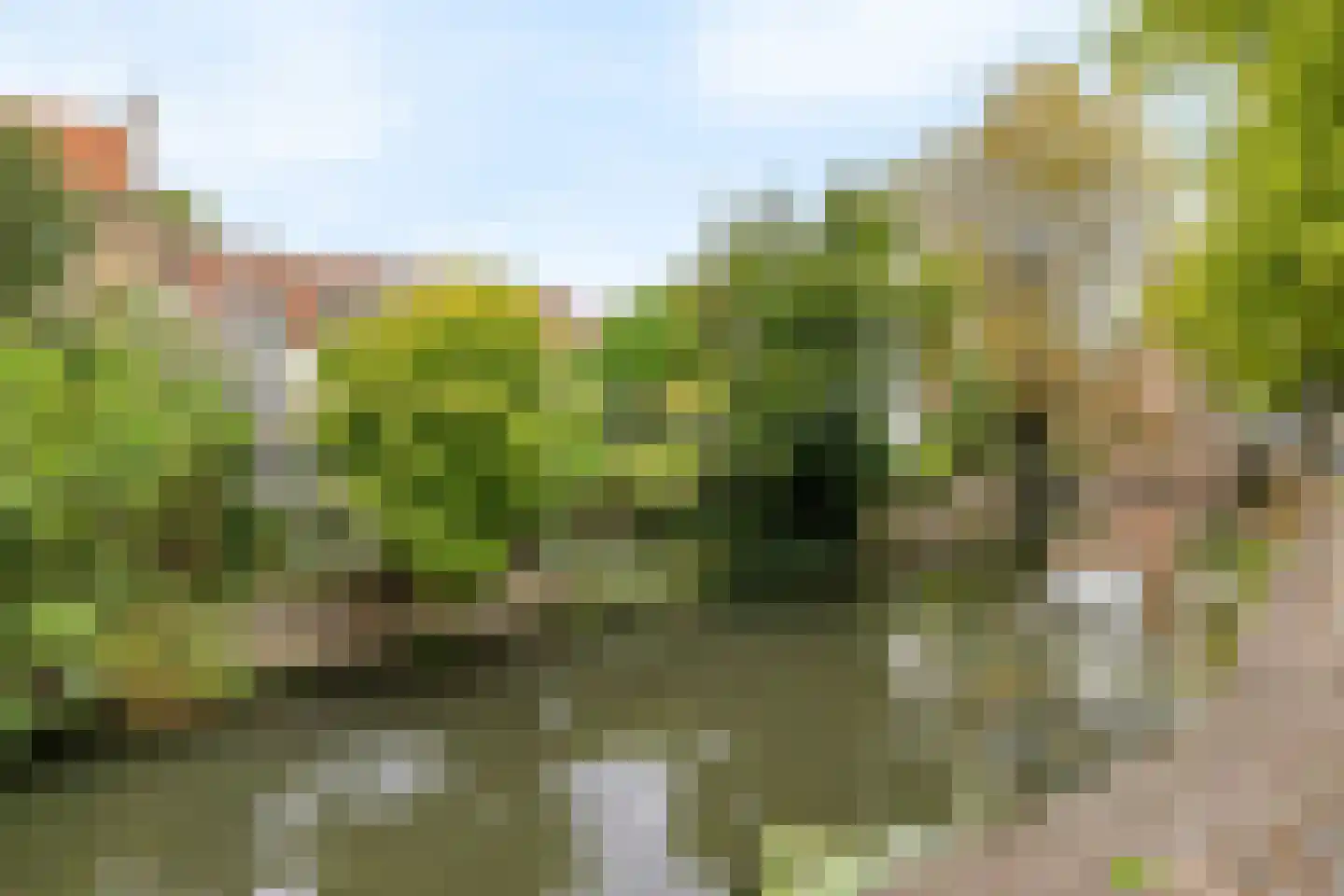 Muurhuizen 111 Amersfoort thumbnail 52