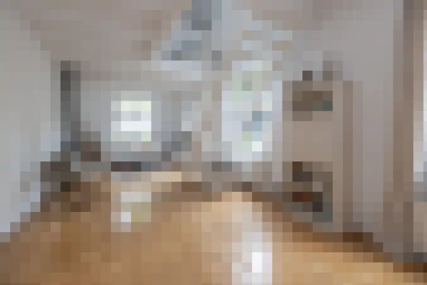 Muurhuizen 117 Amersfoort thumbnail 25