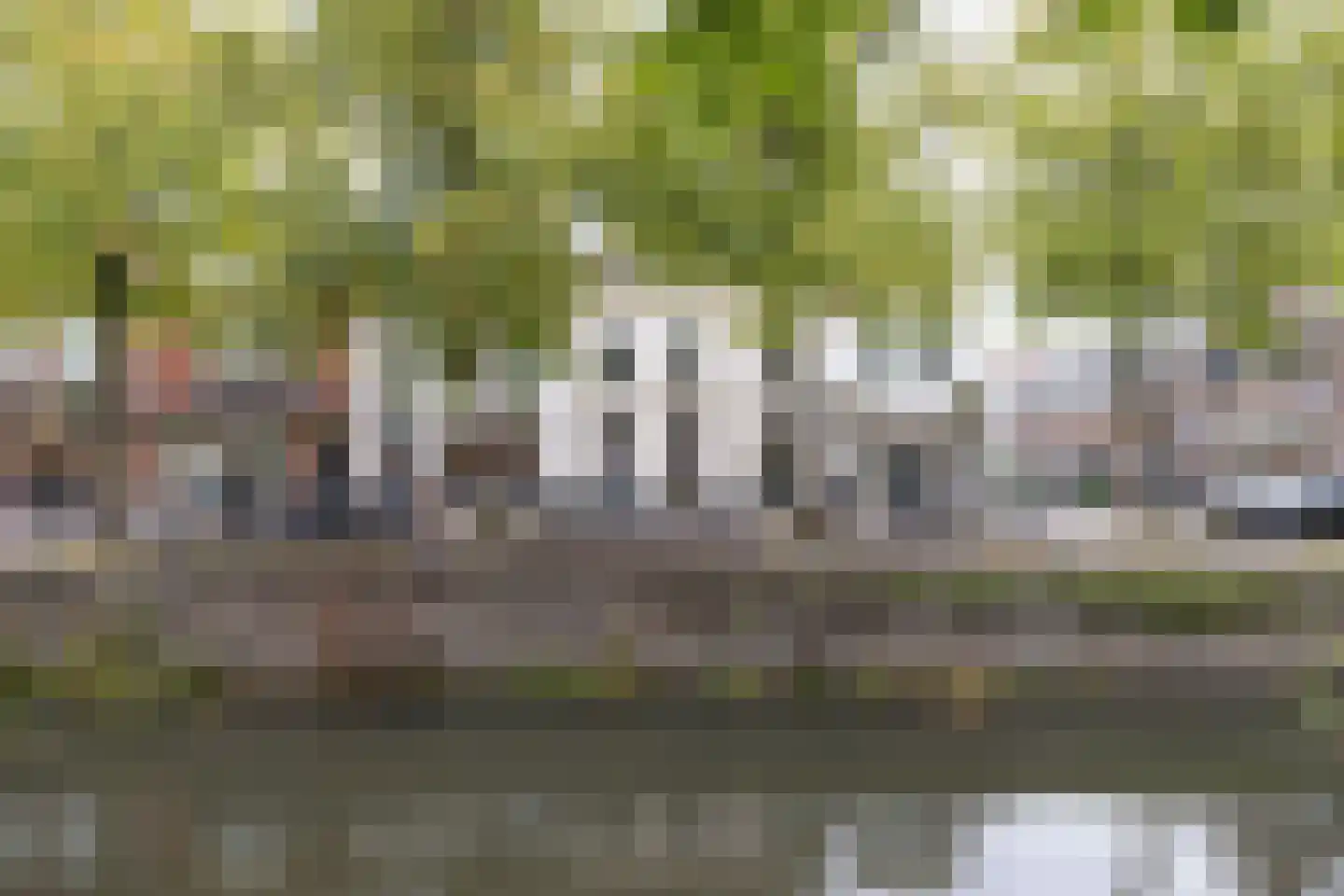 Muurhuizen 117 Amersfoort thumbnail 62