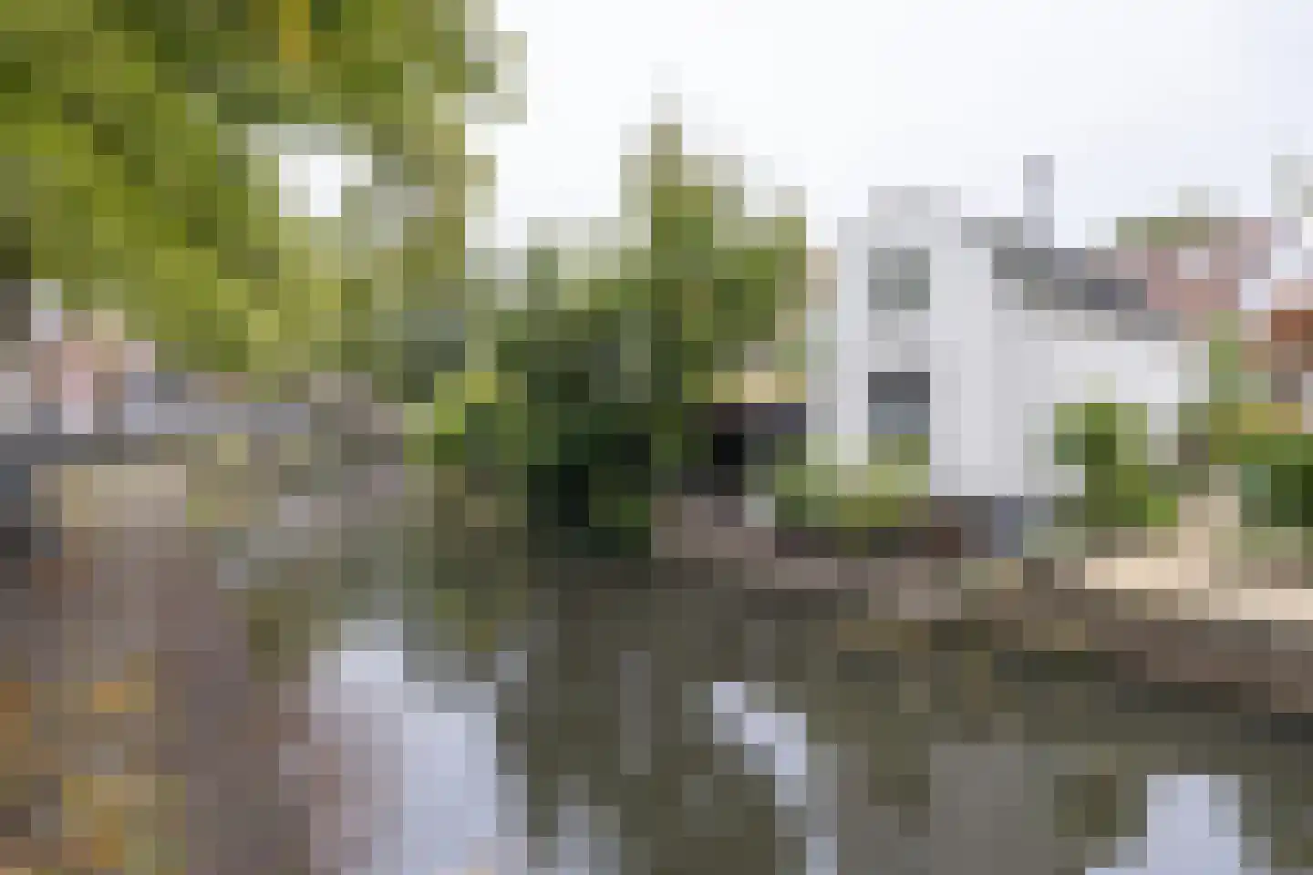 Muurhuizen 117 Amersfoort thumbnail 64