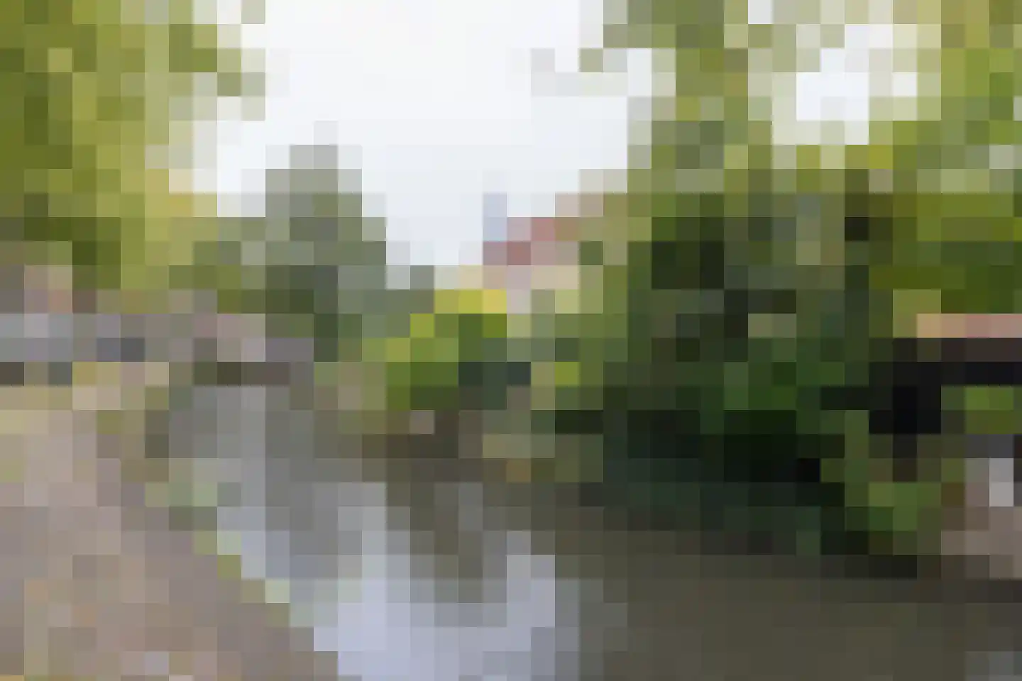 Muurhuizen 117 Amersfoort thumbnail 69