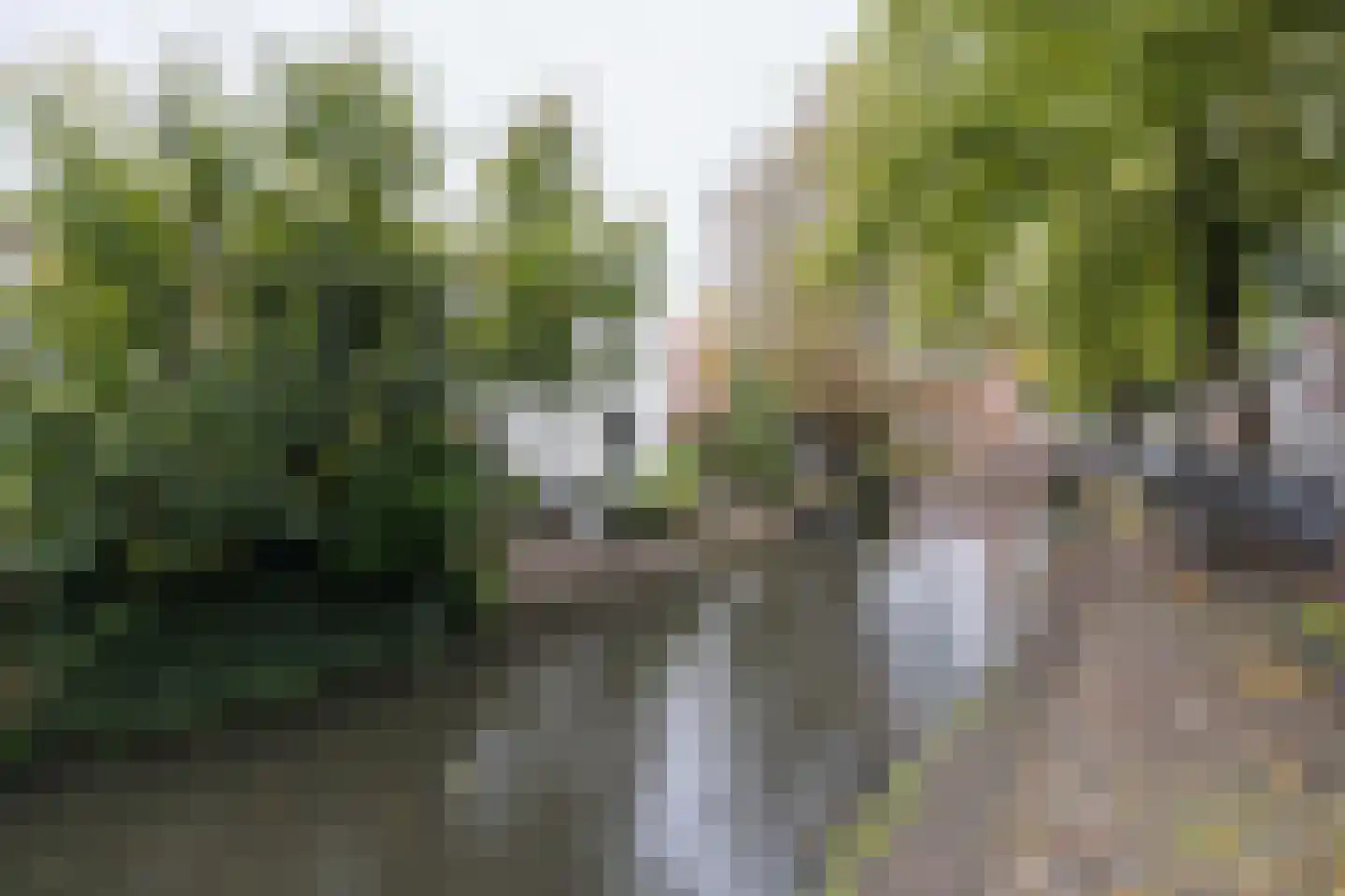Muurhuizen 117 Amersfoort thumbnail 70