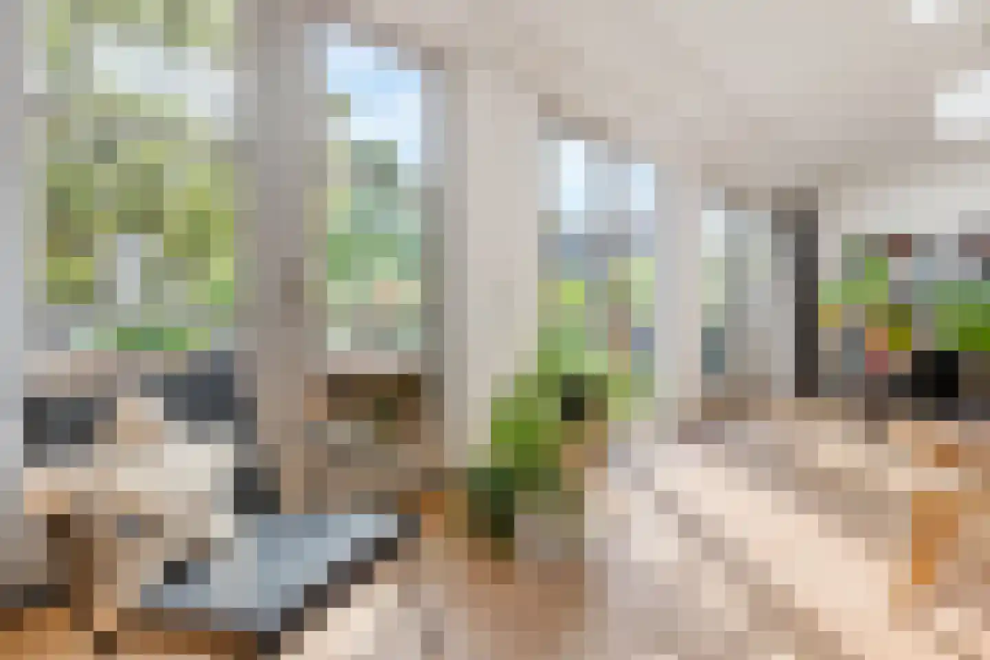 Muurhuizen 123 Amersfoort thumbnail 10