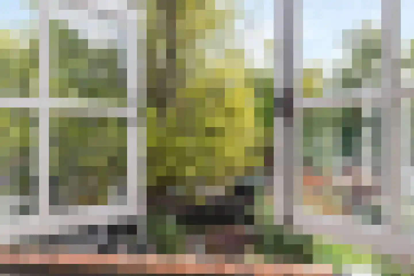 Muurhuizen 123 Amersfoort thumbnail 28