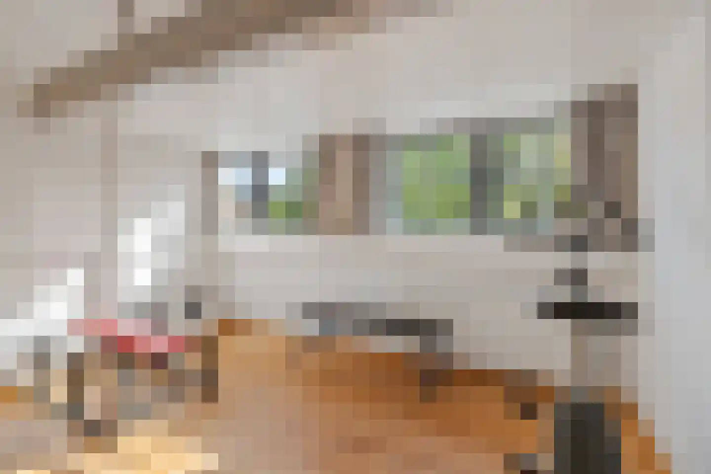 Muurhuizen 123 Amersfoort thumbnail 30