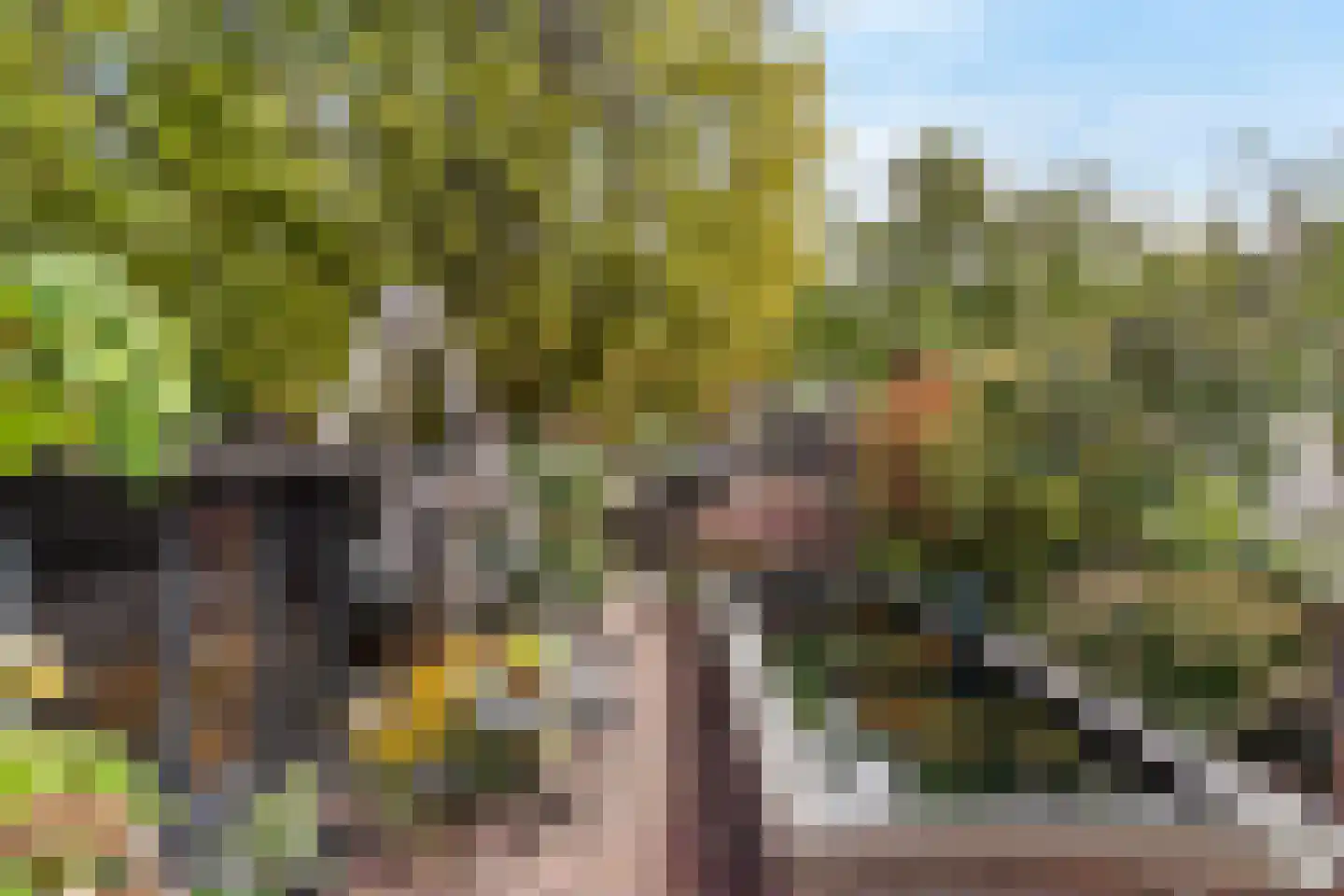 Muurhuizen 123 Amersfoort thumbnail 36