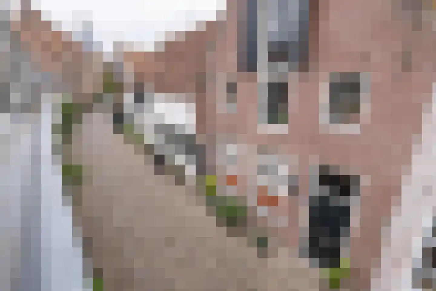 Muurhuizen 127 Amersfoort thumbnail 26