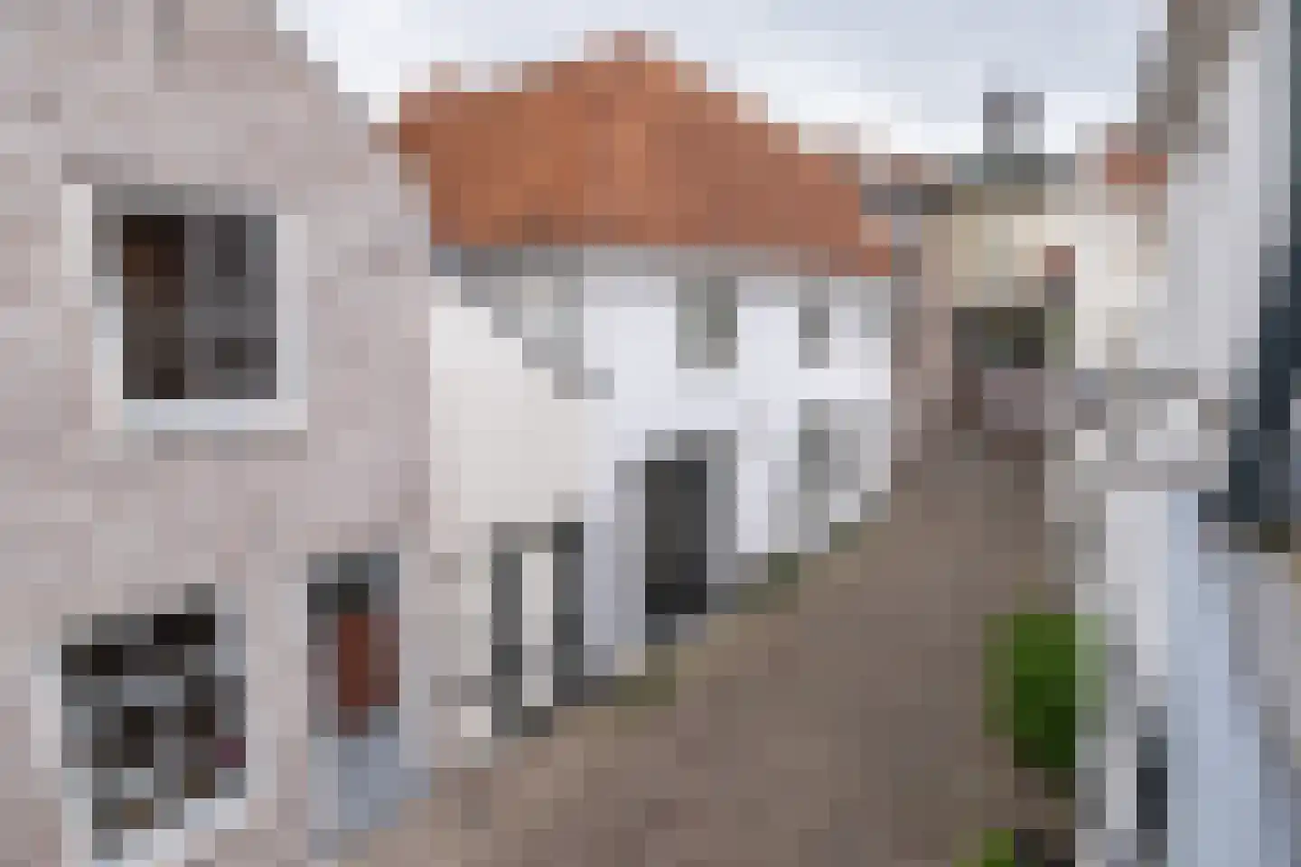 Muurhuizen 127 Amersfoort thumbnail 27