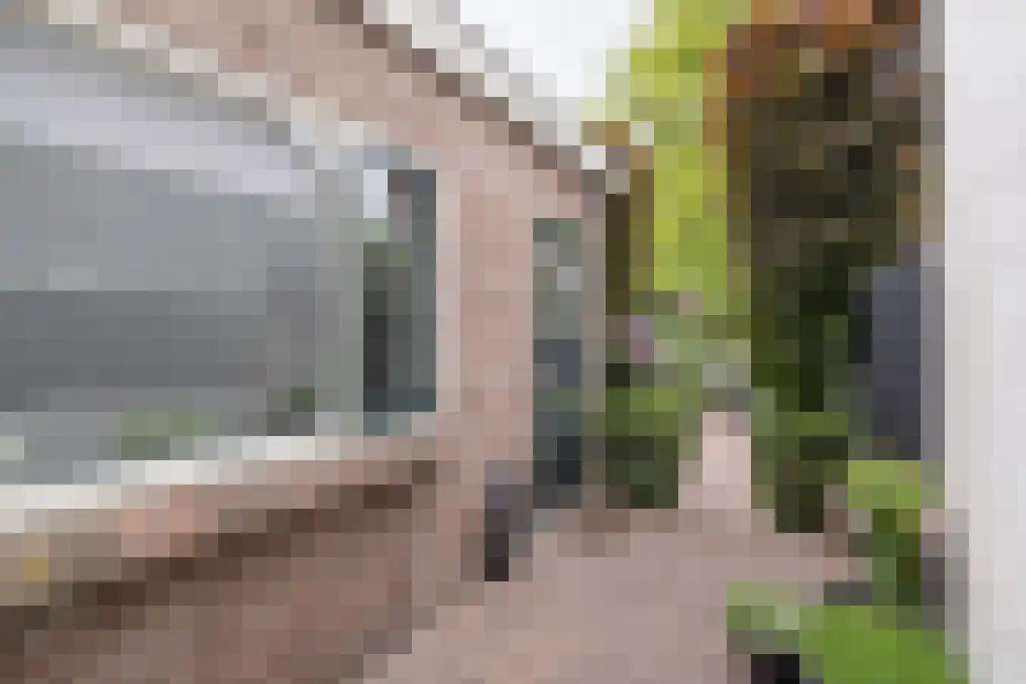 Muurhuizen 127 Amersfoort thumbnail 37