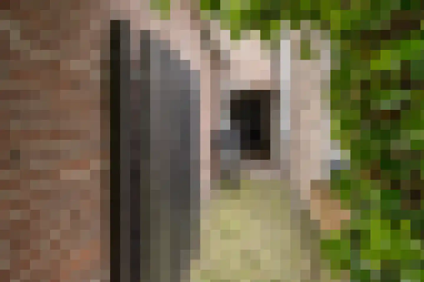 Muurhuizen 127 Amersfoort thumbnail 41