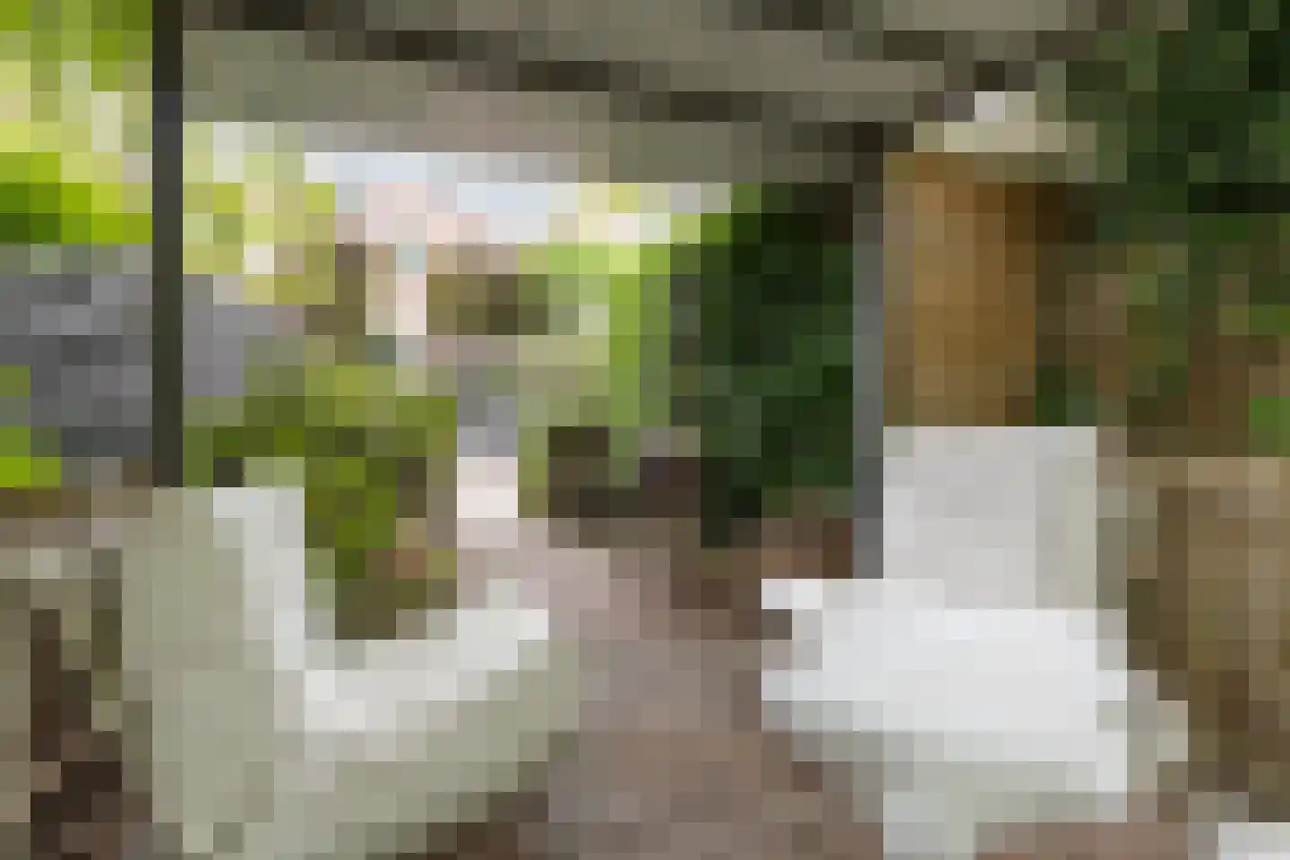 Muurhuizen 127 Amersfoort thumbnail 44