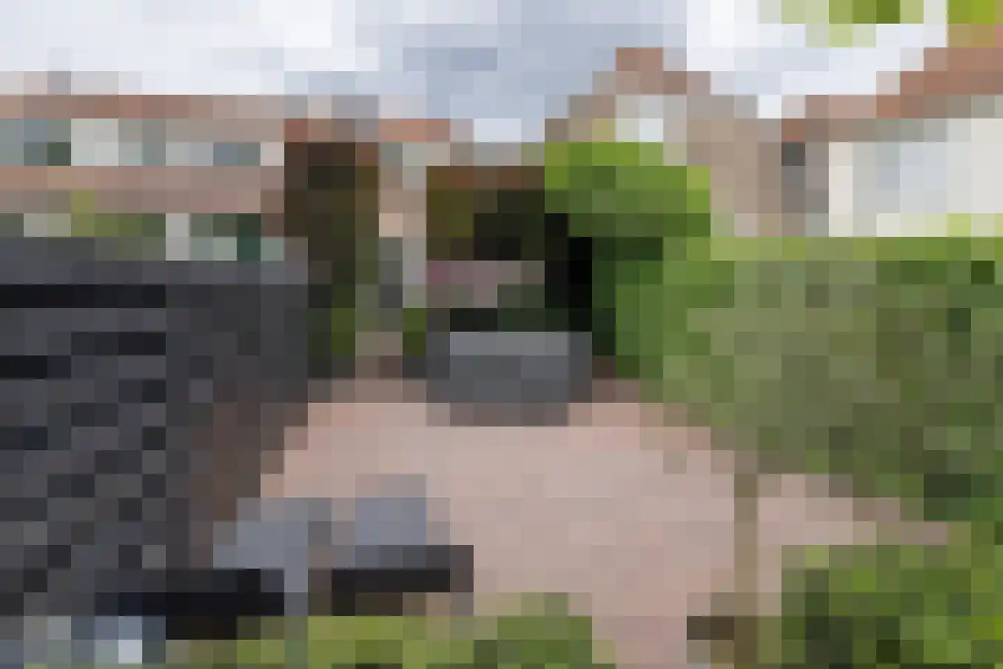 Muurhuizen 127 Amersfoort thumbnail 48
