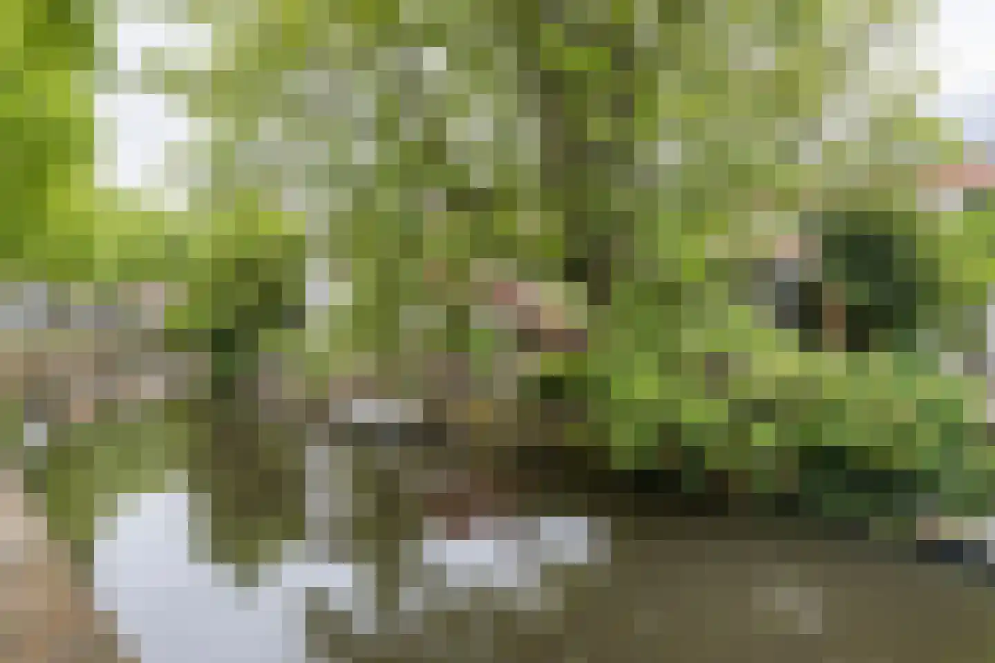 Muurhuizen 127 Amersfoort thumbnail 53