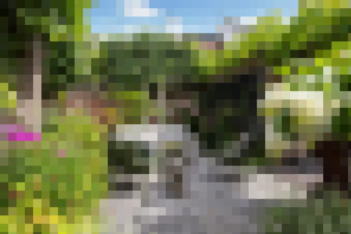 Muurhuizen 177 Amersfoort thumbnail 38